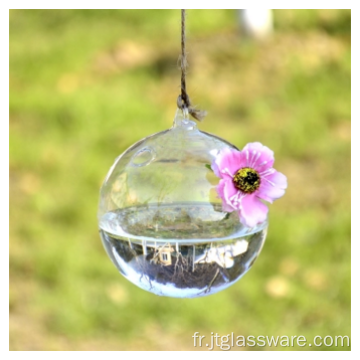 Terrarium en verre suspendu beau vase en verre créatif